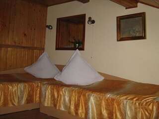 Отели типа «постель и завтрак» Pensiunea Fara Nume Буштени Двухместный номер с 2 отдельными кроватями и собственной ванной комнатой-1
