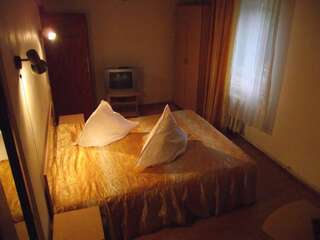 Отели типа «постель и завтрак» Pensiunea Fara Nume Буштени Двухместный номер с 1 кроватью и собственной ванной комнатой-2