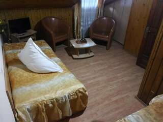 Отели типа «постель и завтрак» Pensiunea Fara Nume Буштени Двухместный номер с 2 отдельными кроватями и собственной ванной комнатой-2